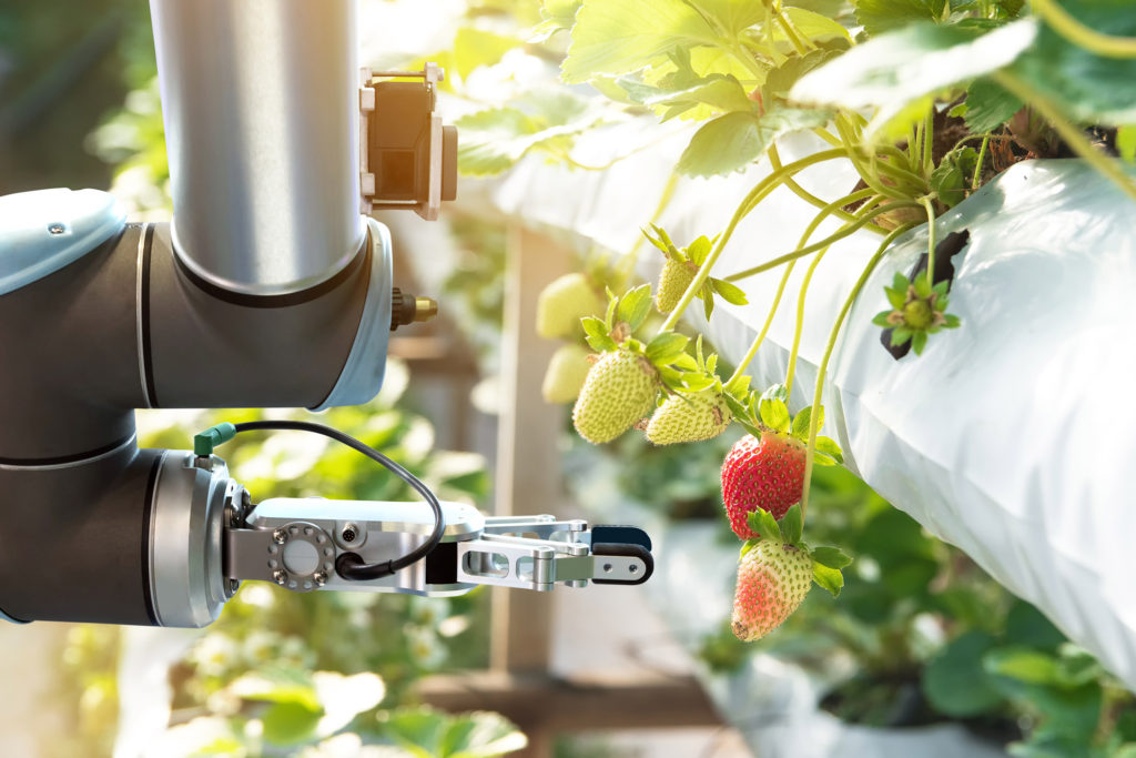 Agricultural robots